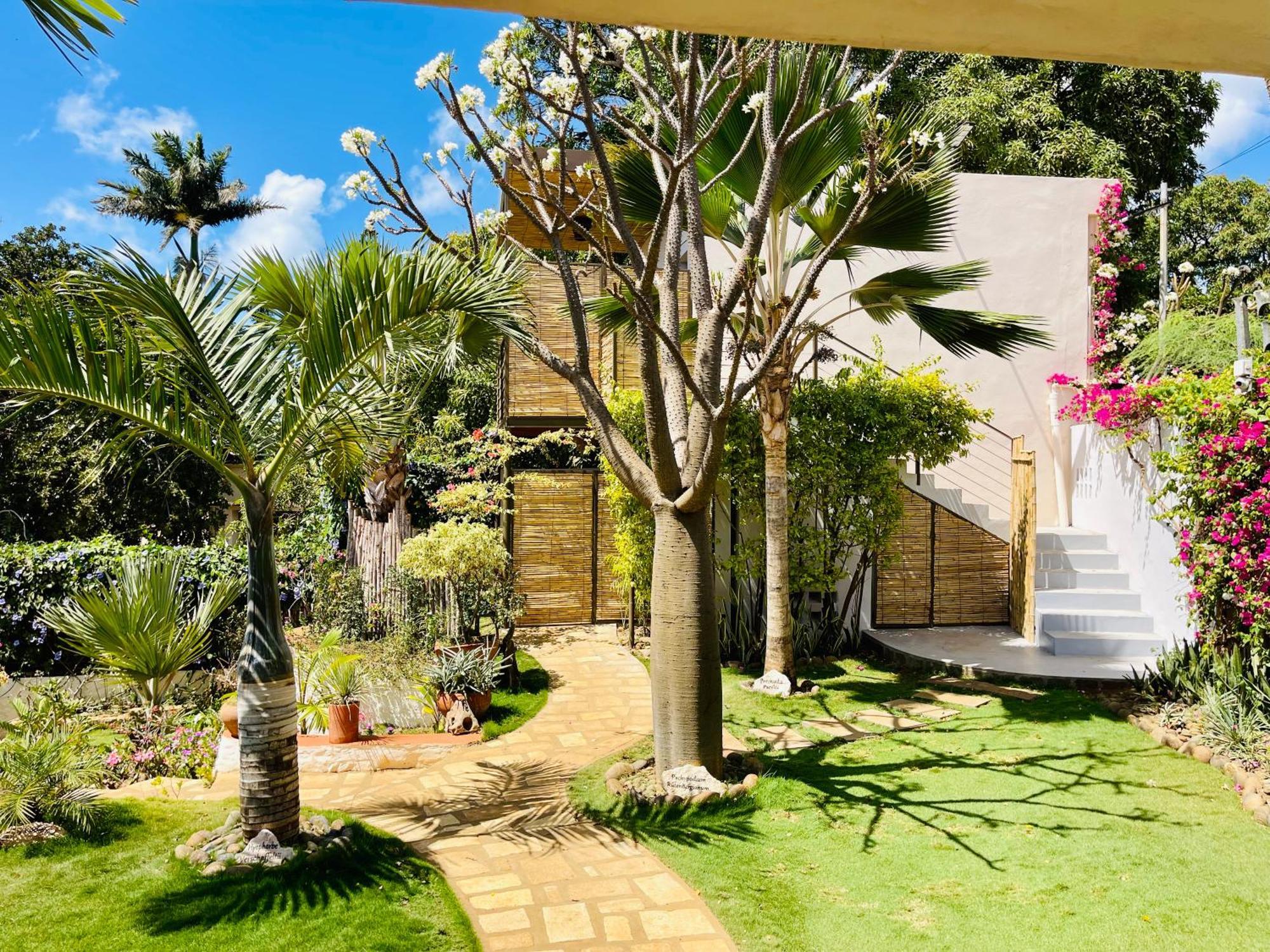 Le Jardin Exotique Hotel Antsiranana Exterior foto